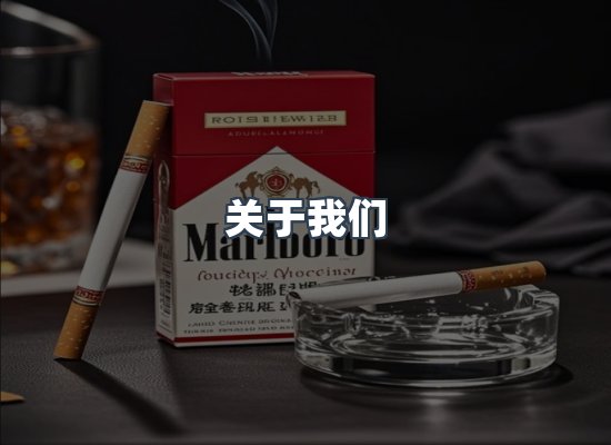 专业团队